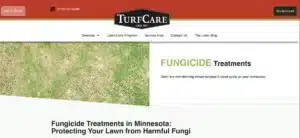 Fungicide Lawn Treatment