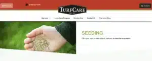 Minnesota Lawn Seeding